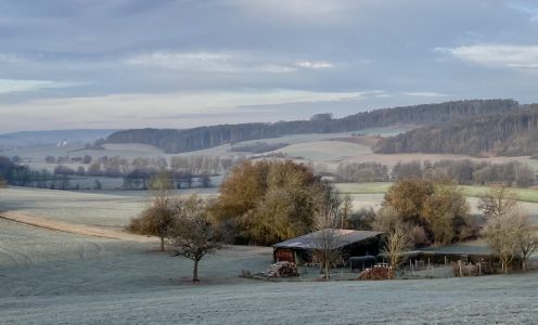 Verzögerter Start ins Bienenjahr 2017