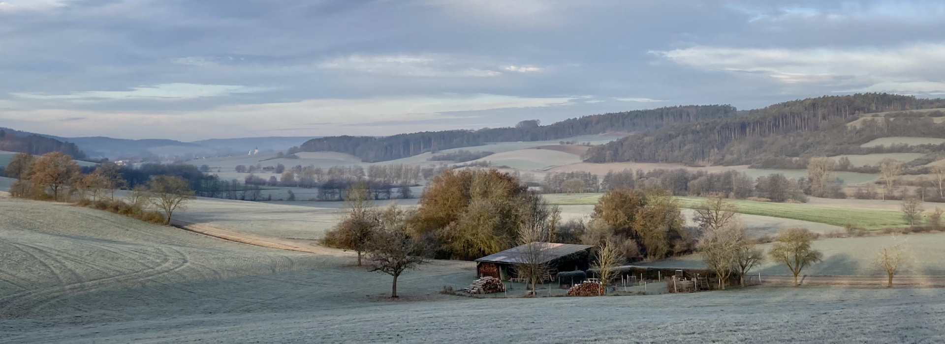 Verzögerter Start ins Bienenjahr 2017