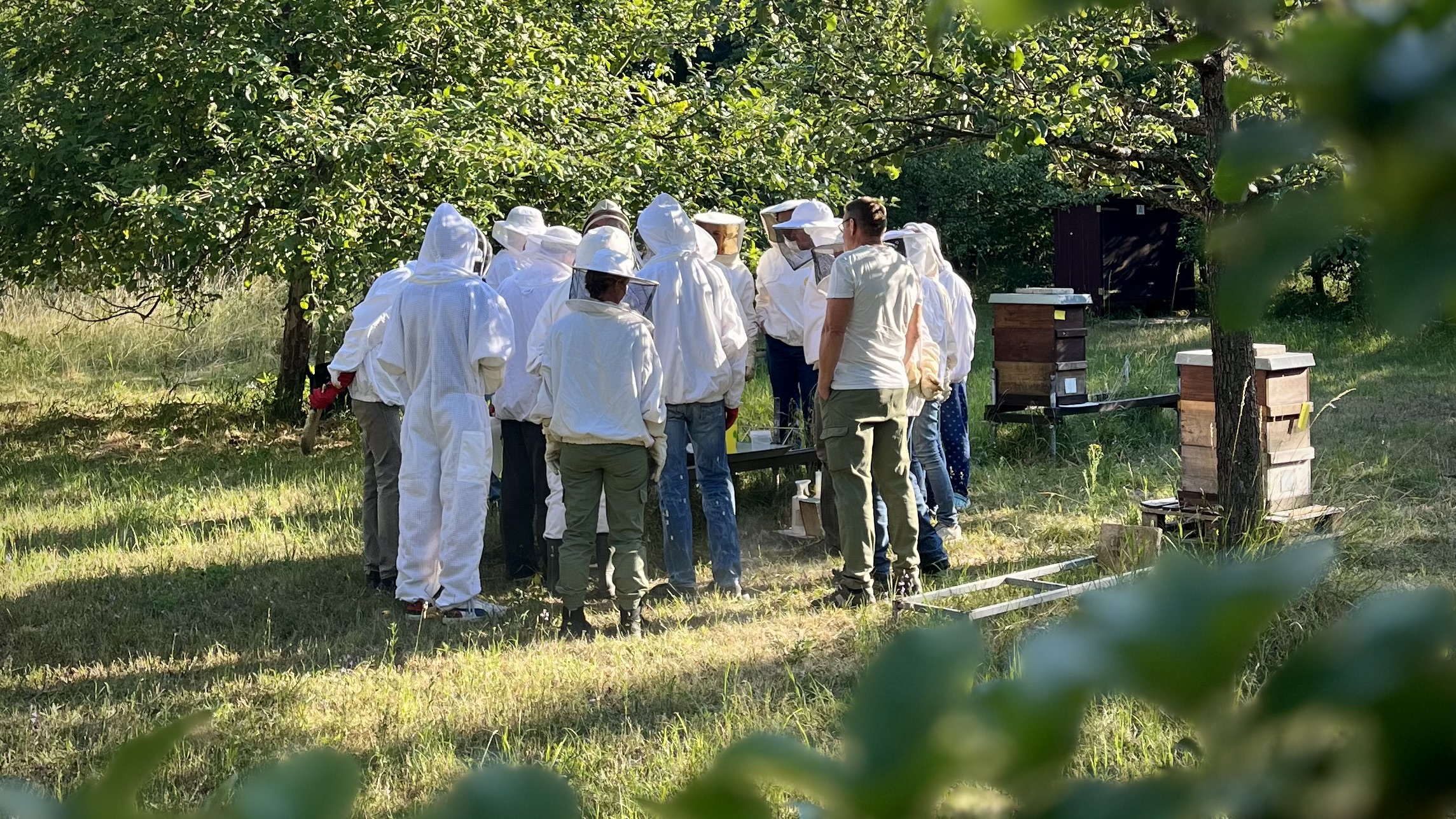 Imkerverein Burgfarrnbach e.V.