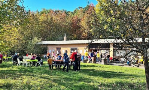 Tag der offenen Tür 2022