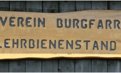 Imkern auf Probe … wie werde ich Imker?