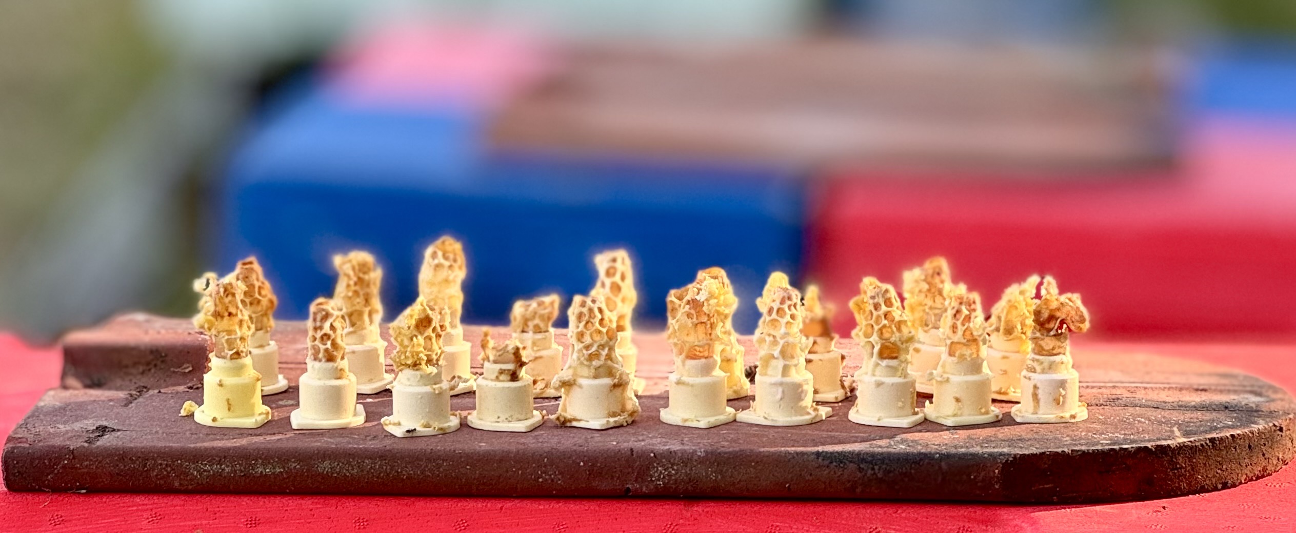 Imkerverein Burgfarrnbach e.V.