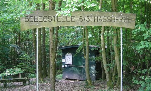 Königinnenvermehrung