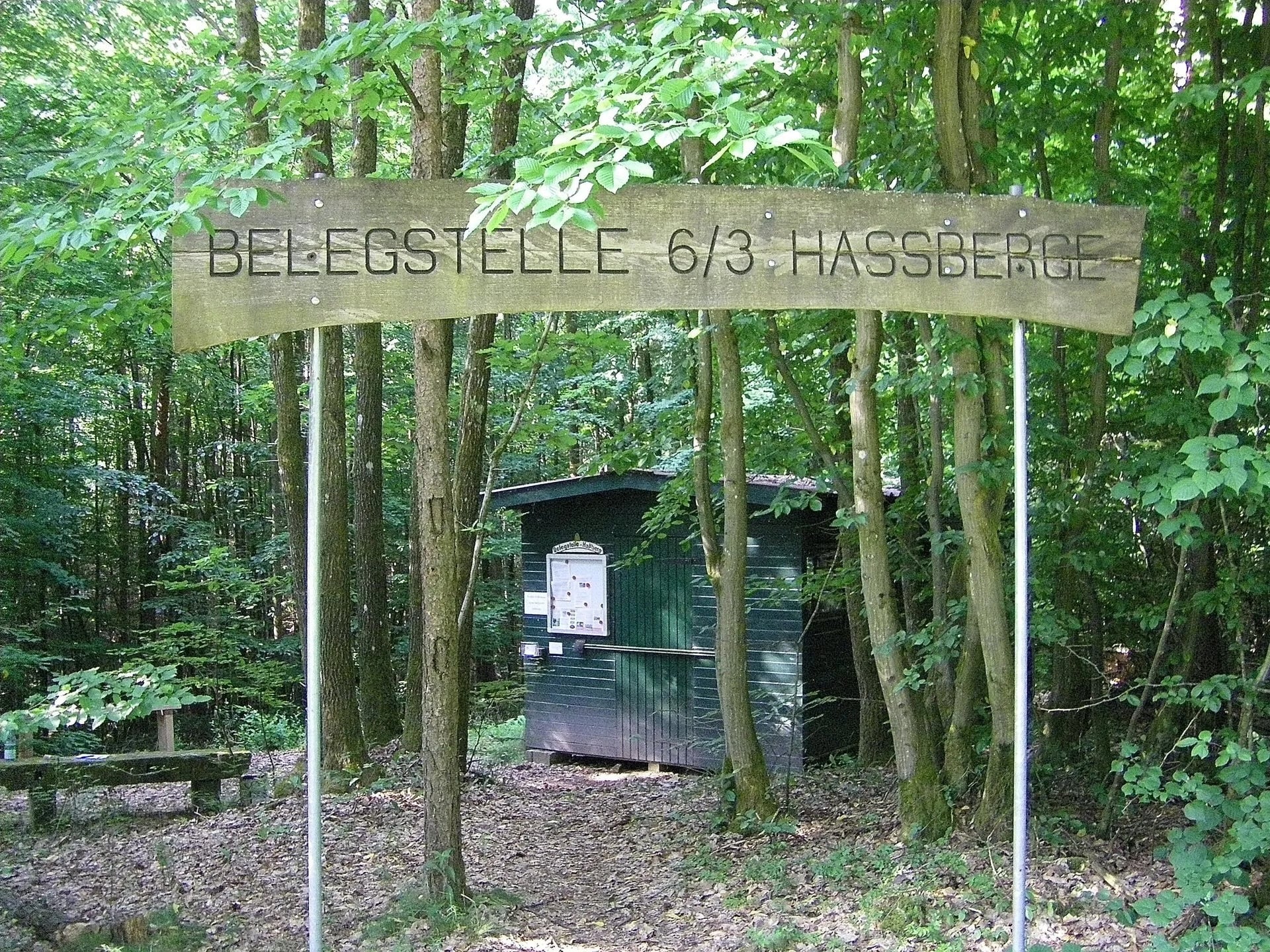 Königinnenvermehrung