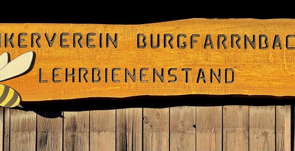 Imkern auf Probe … wie werde ich Imker?