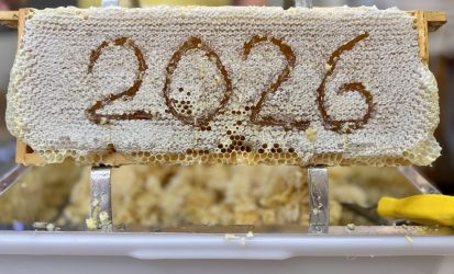 IVB Honigschleudern 2026